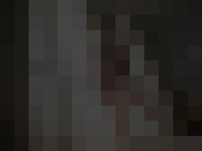 장선영