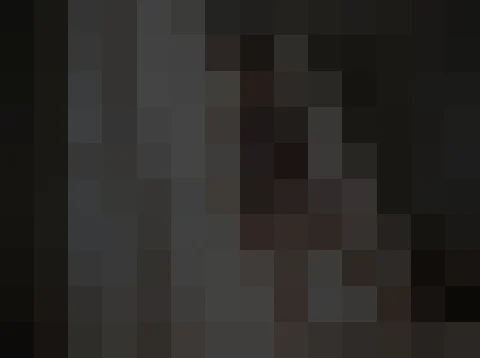 장선영